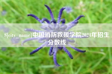 泰安中国消防救援学院2024年招生分数线