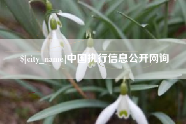 泰安中国执行信息公开网询