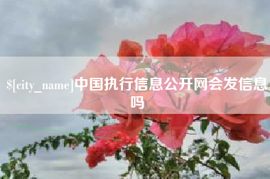 泰安中国执行信息公开网会发信息吗