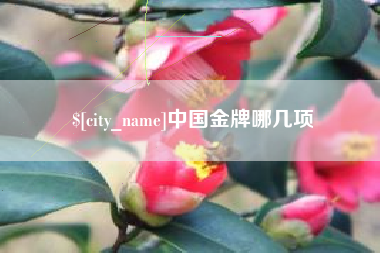泰安中国金牌哪几项