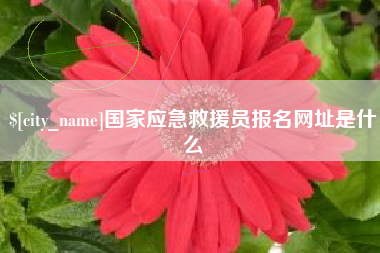 泰安国家应急救援员报名网址是什么