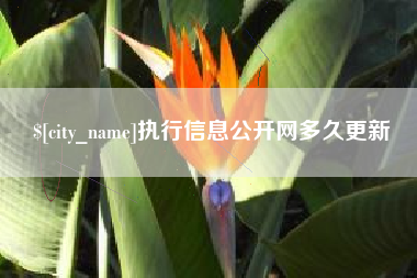 泰安执行信息公开网多久更新