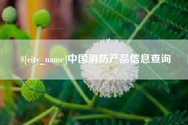 泰安中国消防产品信息查询