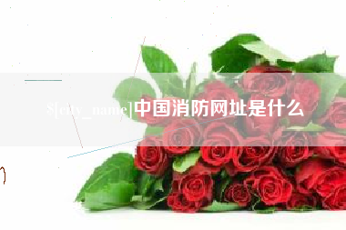泰安中国消防网址是什么
