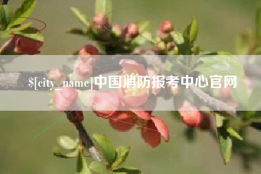 泰安中国消防报考中心官网