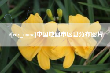 泰安中国地图市区县分布图片
