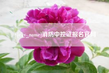 泰安消防中控证报名官网