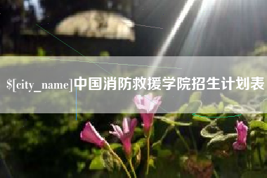 泰安中国消防救援学院招生计划表