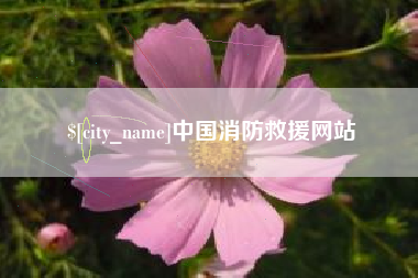 泰安中国消防救援网站