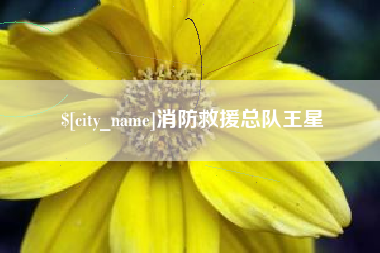 泰安消防救援总队王星