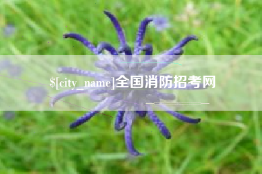 泰安全国消防招考网