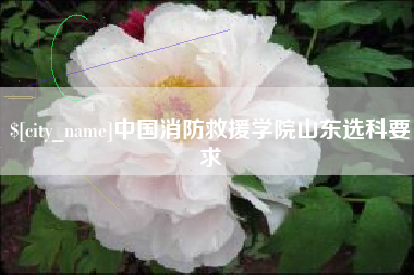 泰安中国消防救援学院山东选科要求