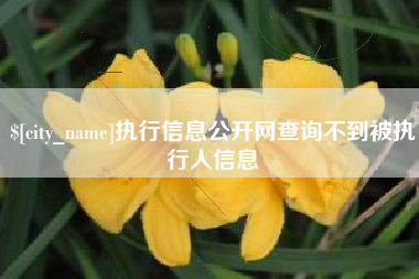 泰安执行信息公开网查询不到被执行人信息