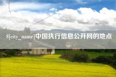 泰安中国执行信息公开网的地点