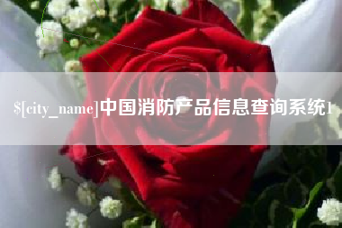 泰安中国消防产品信息查询系统1