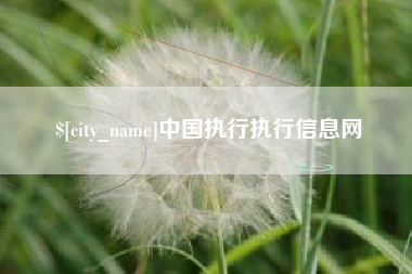 泰安中国执行执行信息网