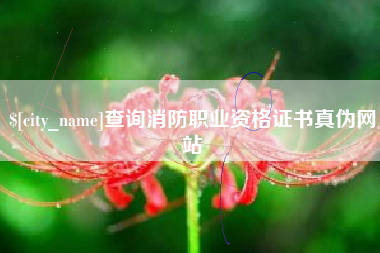 泰安查询消防职业资格证书真伪网站