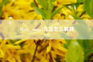 泰安九宫怎么解释