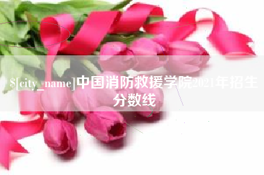 泰安中国消防救援学院2021年招生分数线