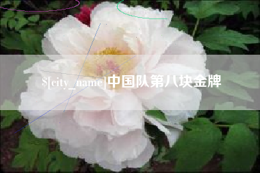 泰安中国队第八块金牌
