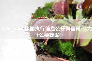 泰安中国执行信息公开网官网app为什么要钱呢