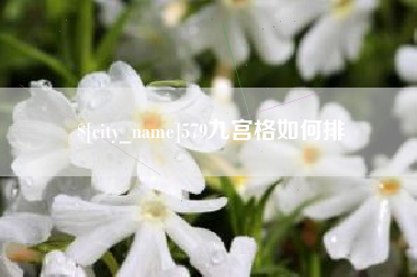 泰安579九宫格如何排