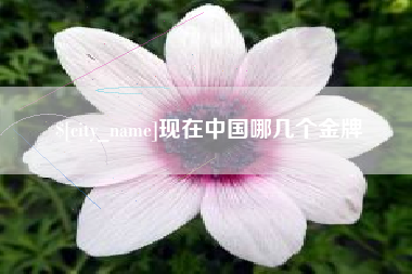 泰安现在中国哪几个金牌
