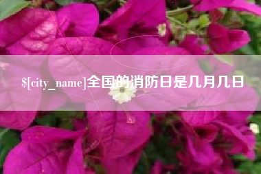 泰安全国的消防日是几月几日