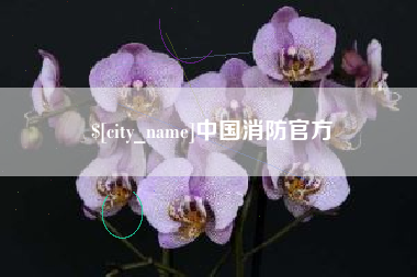 泰安中国消防官方