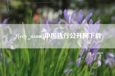 泰安中国执行公开网下载