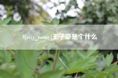 泰安王子豪是个什么