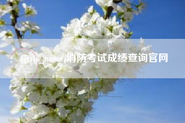 泰安消防考试成绩查询官网