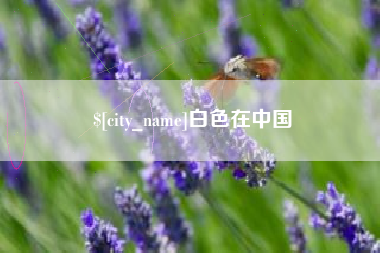 泰安白色在中国