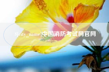 泰安中国消防考试网官网
