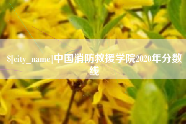 泰安中国消防救援学院2020年分数线
