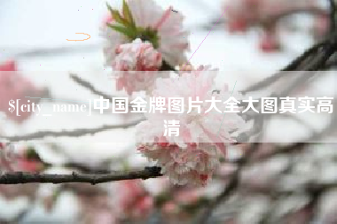 泰安中国金牌图片大全大图真实高清