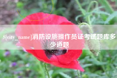 泰安消防设施操作员证考试题库多少道题