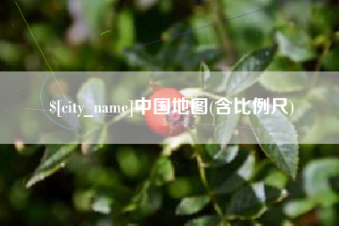 泰安中国地图(含比例尺)