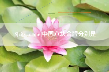 泰安中国六块金牌分别是