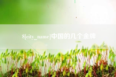 泰安中国的几个金牌