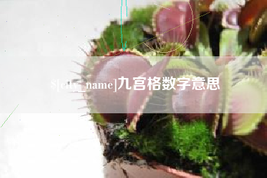 泰安九宫格数字意思