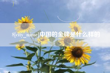 泰安中国的金牌是什么样的