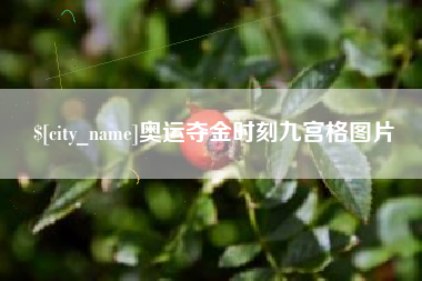 泰安奥运夺金时刻九宫格图片