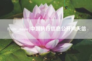 泰安中国执行信息公开网失信