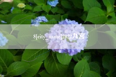 泰安2022九宫