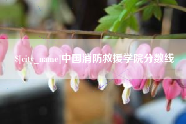 泰安中国消防救援学院分数线