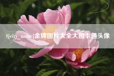 泰安金牌图片大全大图卡通头像