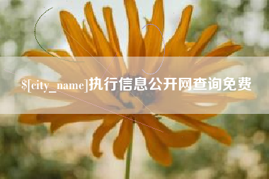 泰安执行信息公开网查询免费
