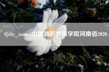 泰安中国消防救援学院河南省2020